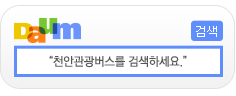 다음검색창